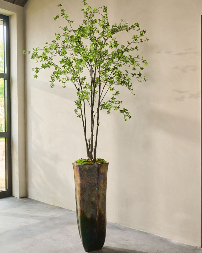 SILK-KA | BUCIDA GROEN 244 CM