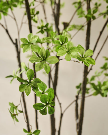 SILK-KA | BUCIDA GROEN 244 CM