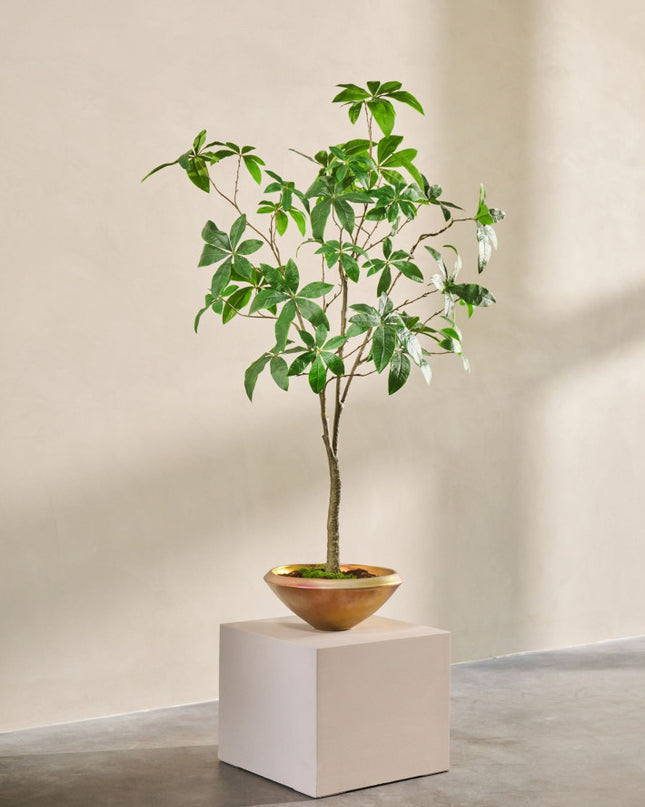 SILK-KA | PACHIRA I/POT GROEN 205 CM