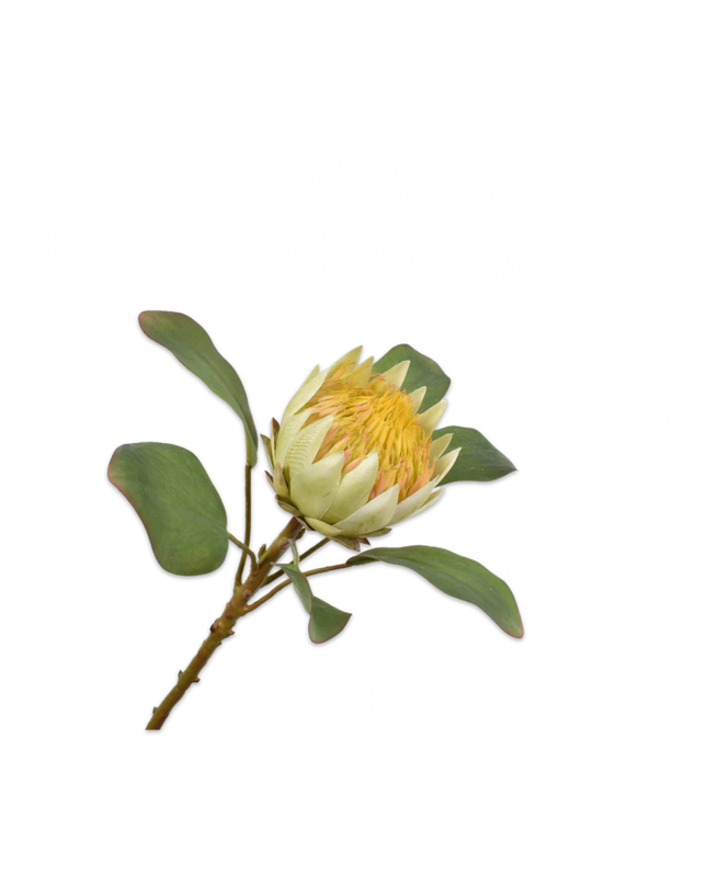 SILK-KA | PROTEA STEEL GEEL 65 cm