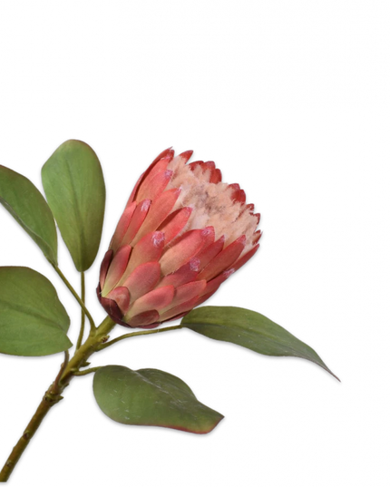 SILK-KA | PROTEA STEEL ROZE 70 cm
