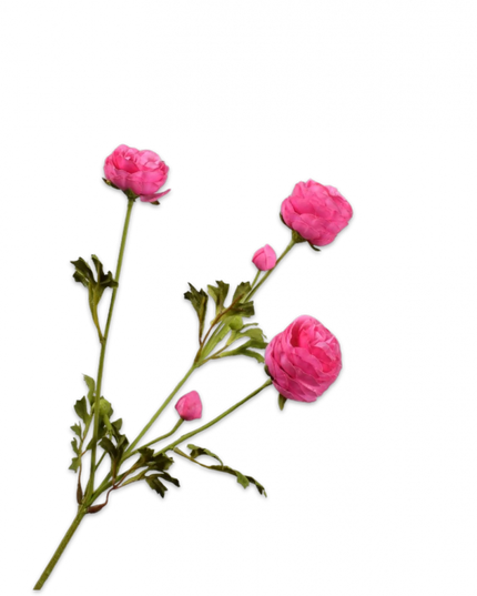 SILK-KA | RANONKEL TAK BEAUTY 65 cm
