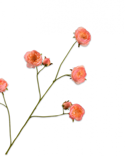 SILK-KA | ROOS TAK PERZIK 103 cm