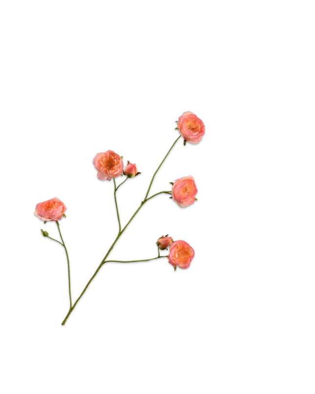 SILK-KA | ROOS TAK PERZIK 103 cm