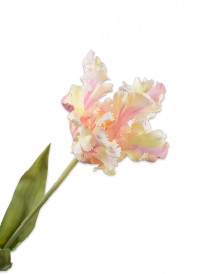 SILK-KA | TULP STEEL CR/ROZ 71 cm