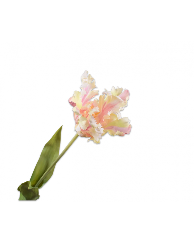 SILK-KA | TULP STEEL CR/ROZ 71 cm