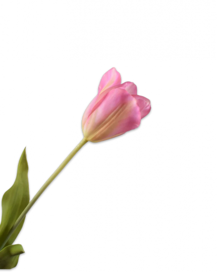 SILK-KA | TULP STEEL ROZE 72 cm