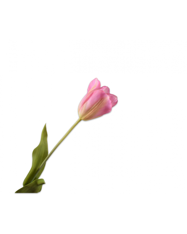 SILK-KA | TULP STEEL ROZE 72 cm