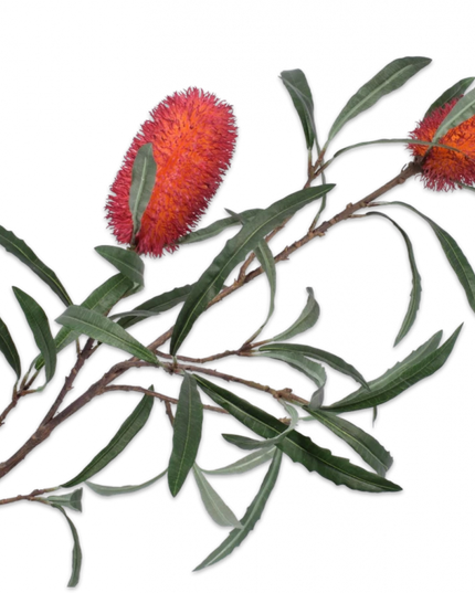 SILK-KA | PROTEA TAK  88 cm