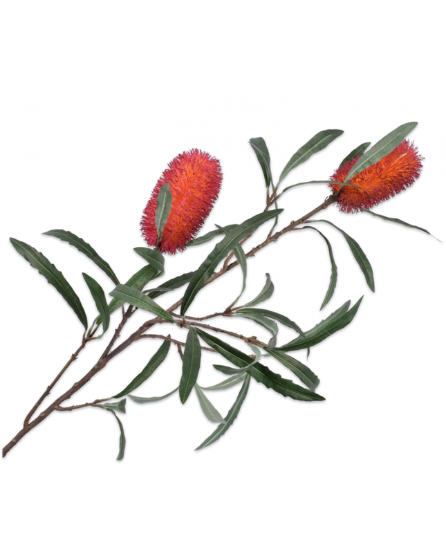 SILK-KA | PROTEA TAK  88 cm