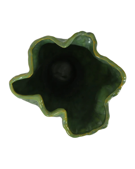 VAAS FES - GROEN