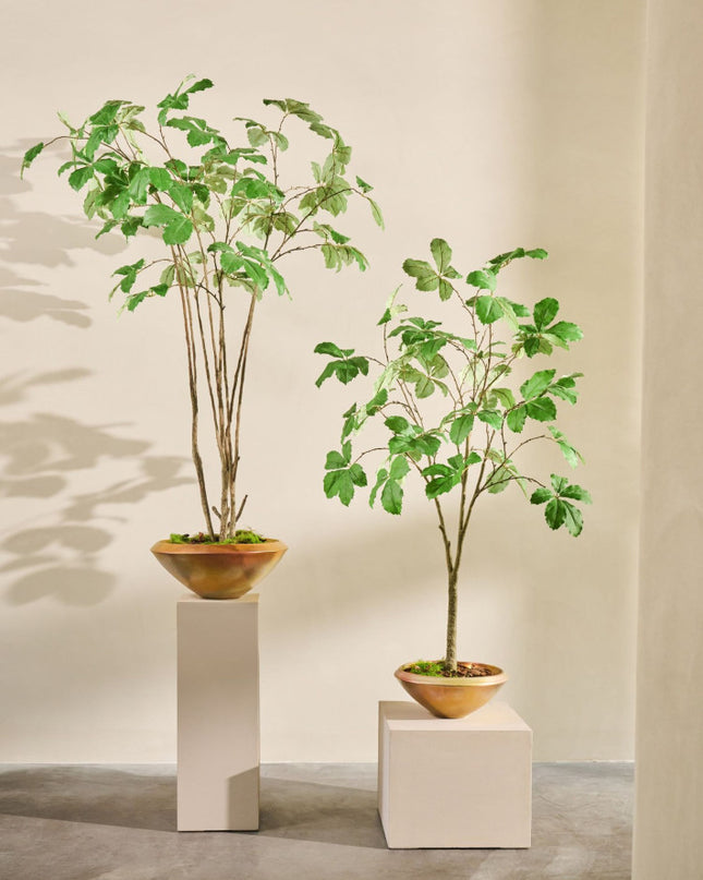 SILK-KA | KASTANJE I/POT GROEN  205 CM